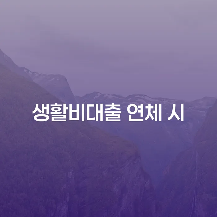 직장인신용대출 연체 시 개인회생 확인 하고 진행