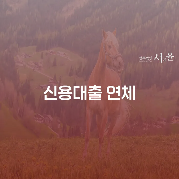 개인회생조회 채무조정제도을 이용하여 알아야 하는 꿀팁