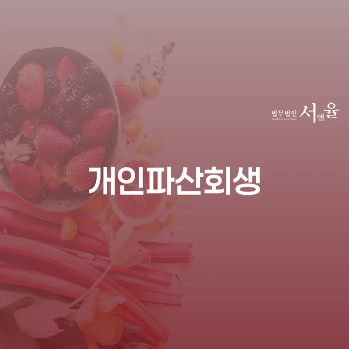 재파산 채무조정제도을 이용하여 면담후에