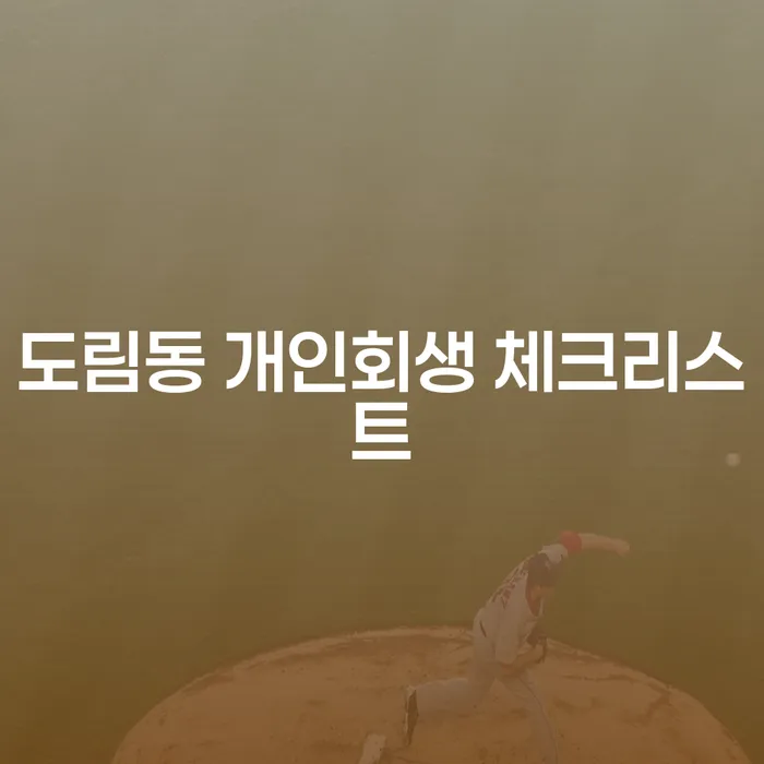 도림동 개인회생 체크리스트