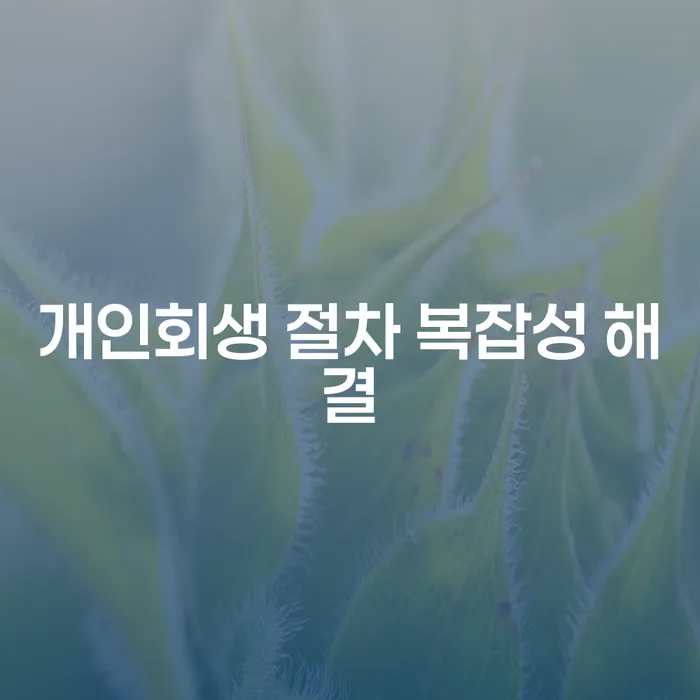 개인회생 절차의 복잡성을 어떻게 해결할 수 있을까요?