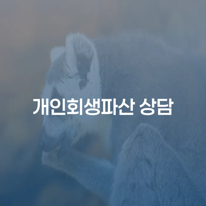 서초구 개인회생파산 상담, 당신에게 필요한 해결책은?