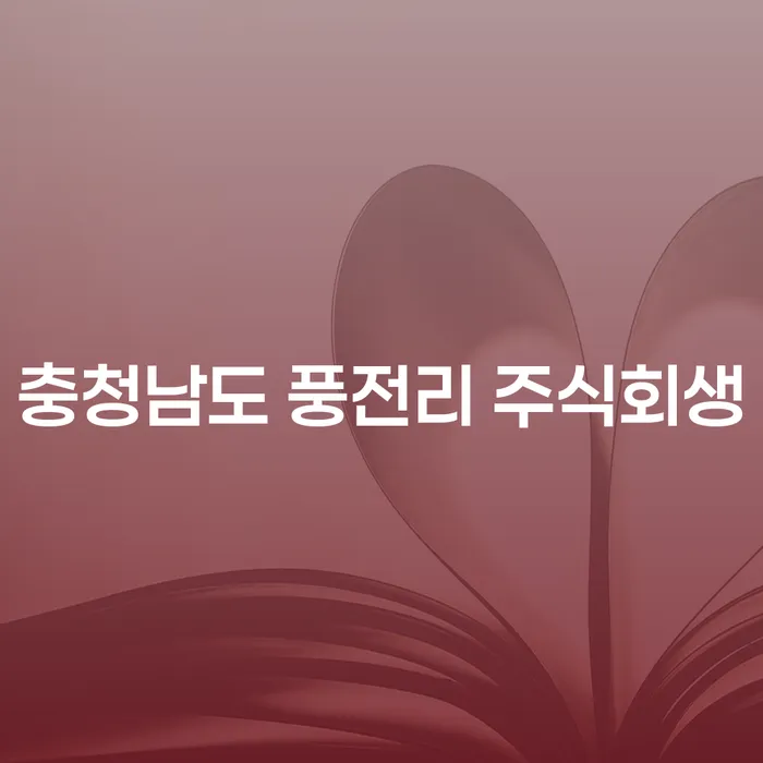 충청남도 풍전리 주식회생과 급여 450만원 개인회생, 당신의 선택은?